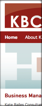 Kate Bailes consultancy